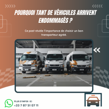 Véhicules endommagés à l’arrivée : pourquoi et comment les protéger